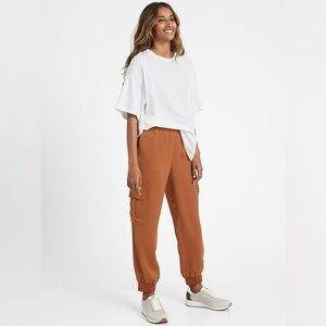 BANANA REPUBLIC Satin Cargo Jogger in The Right Spice